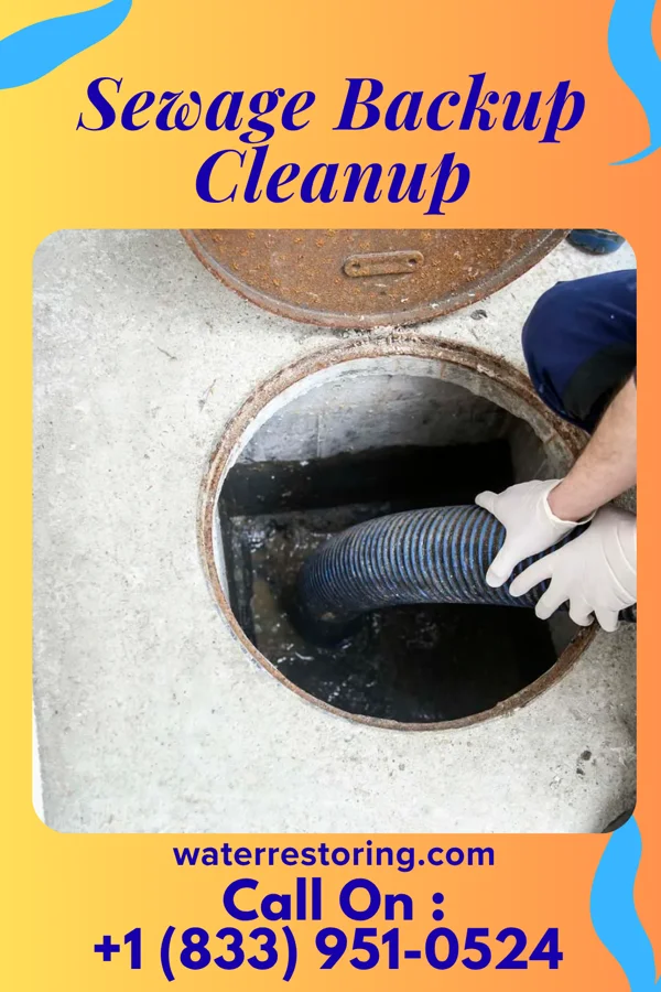 Sewage Backup Cleanup in Carol Stream, IL